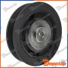 Poulie damper vilebrequin pour RENAULT | RKP-RE-000, 1003